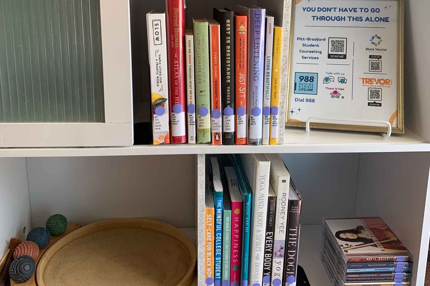 Bookshelf in Wellness room