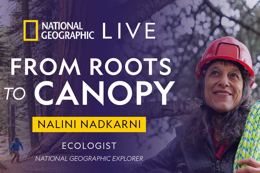 National Geographic Live from roots to canopy flier