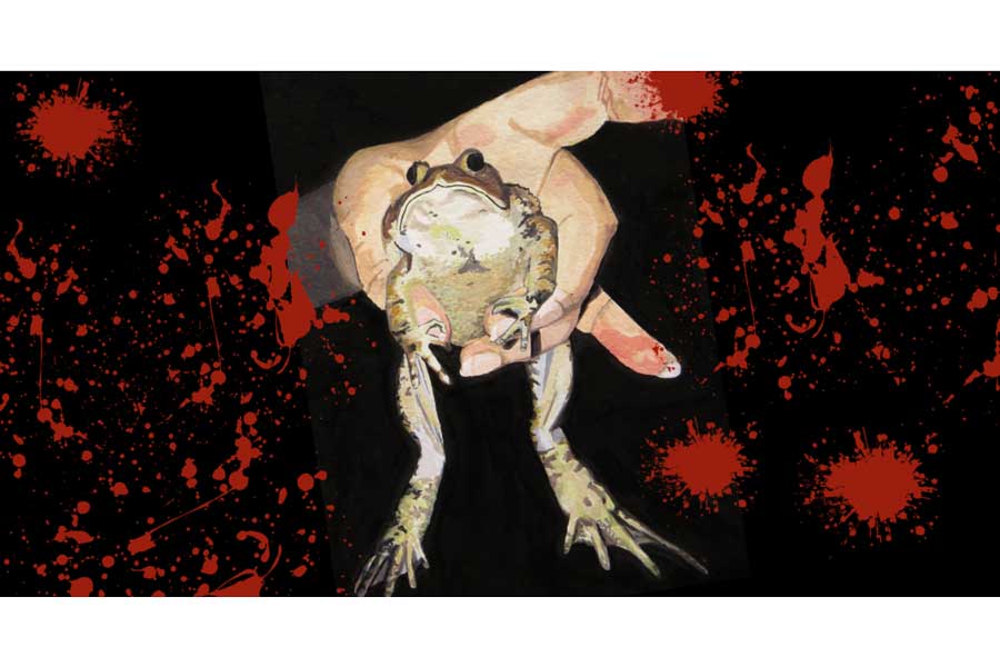 A horror themed image with a frog and blood splatter