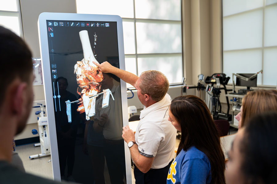 professor showing joint on anatomage table