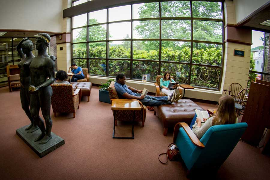 Students working and studying in the library